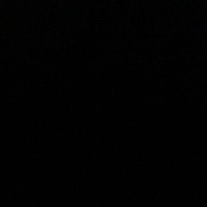 Meet your Posher, Hunter